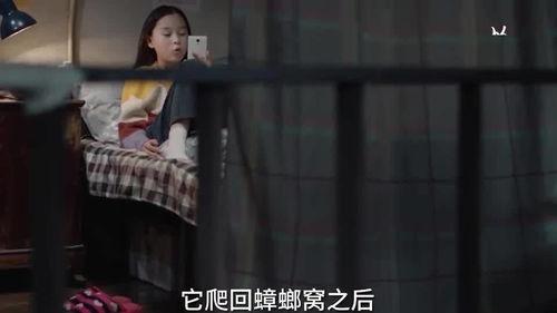 晨熙姐姐爆料视频大全最新,揭秘娱乐圈幕后真相